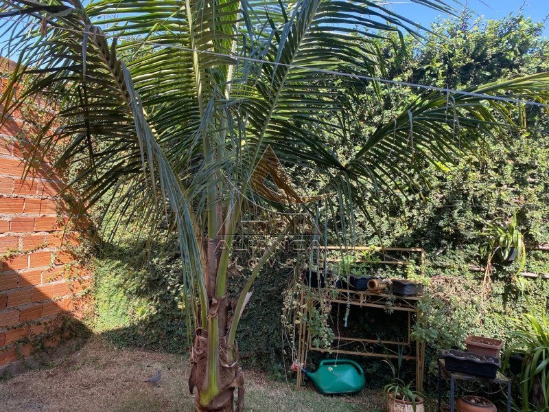 Aliança Imóveis - Imobiliária em Ribeirão Preto - SP - Casa - Cristo Redentor - Ribeirão Preto