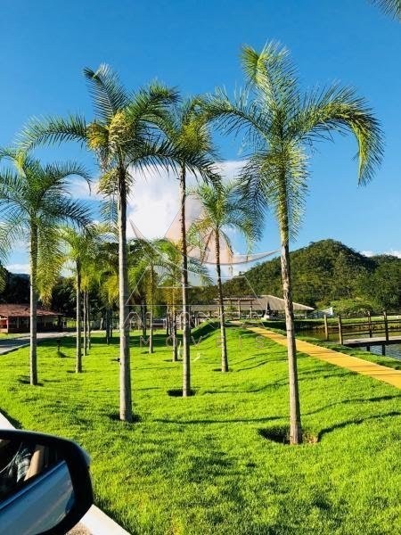 Fazenda à venda, 65000m² - Foto 7