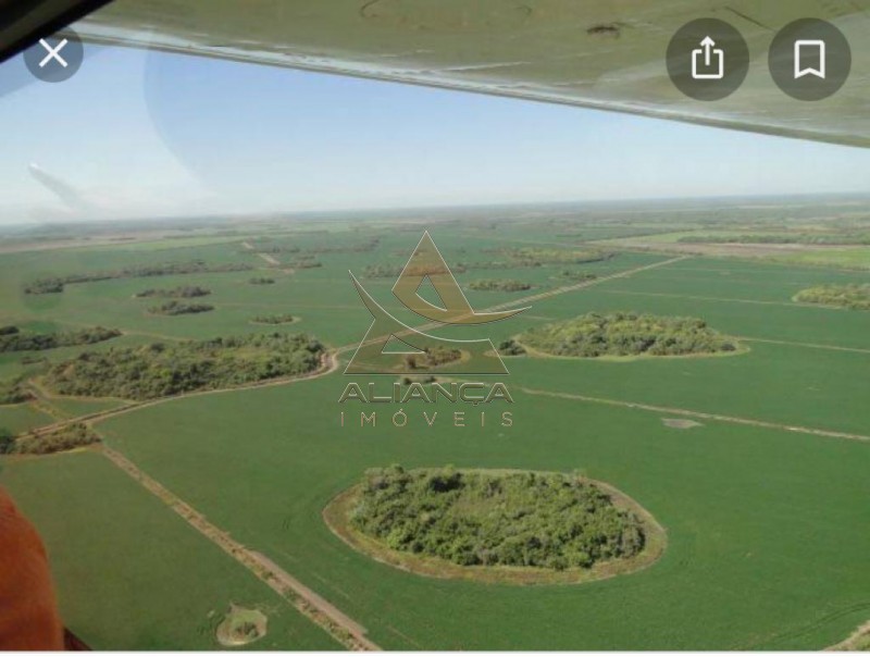 Aliança Imóveis - Imobiliária em Ribeirão Preto - SP - Fazenda  - Zona Rural - Santa Fé do Araguaia 