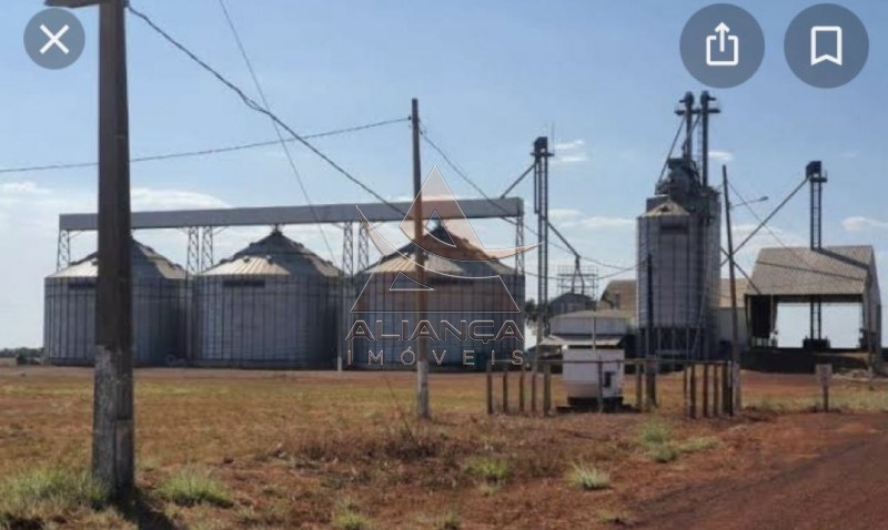 Aliança Imóveis - Imobiliária em Ribeirão Preto - SP - Fazenda  - Zona Rural - Santa Fé do Araguaia 