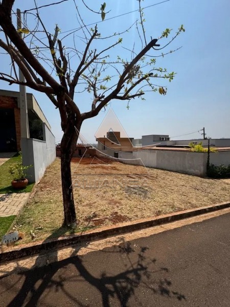 Terreno à venda, 250m² - Foto 1