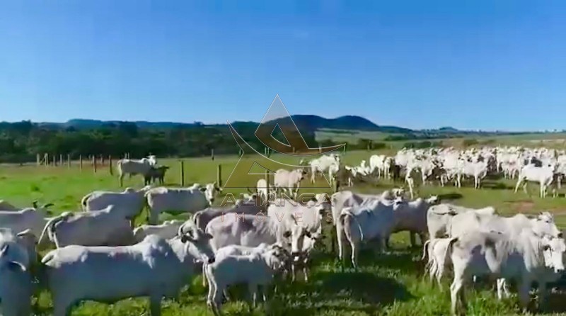 Fazenda à venda, 119420000m² - Foto 3