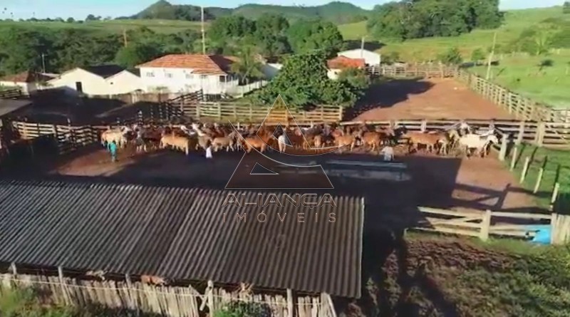 Aliança Imóveis - Imobiliária em Ribeirão Preto - SP - Fazenda  - Zona Rural - Caiapônia 