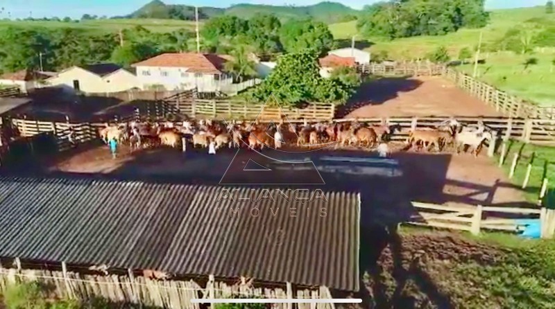 Aliança Imóveis - Imobiliária em Ribeirão Preto - SP - Fazenda  - Zona Rural - Caiapônia 