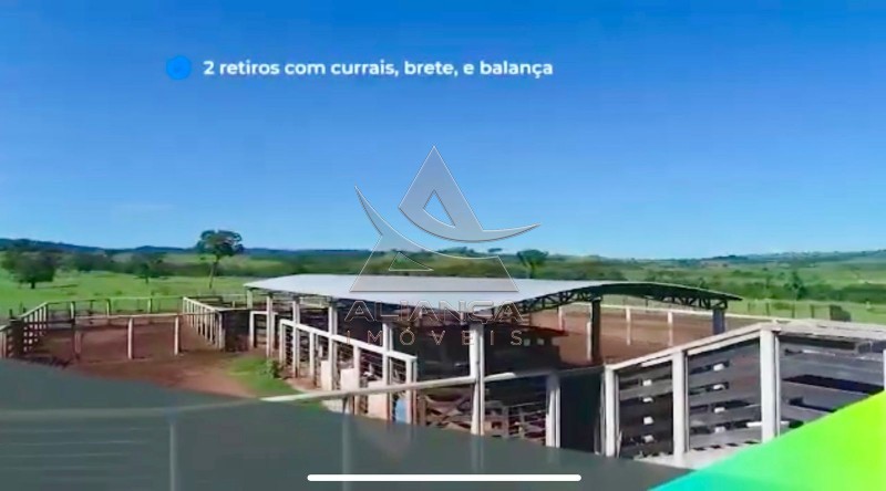 Aliança Imóveis - Imobiliária em Ribeirão Preto - SP - Fazenda  - Zona Rural - Caiapônia 