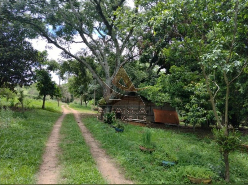 Aliança Imóveis - Imobiliária em Ribeirão Preto - SP - Sítio - Chácara Descalvado - Descalvado