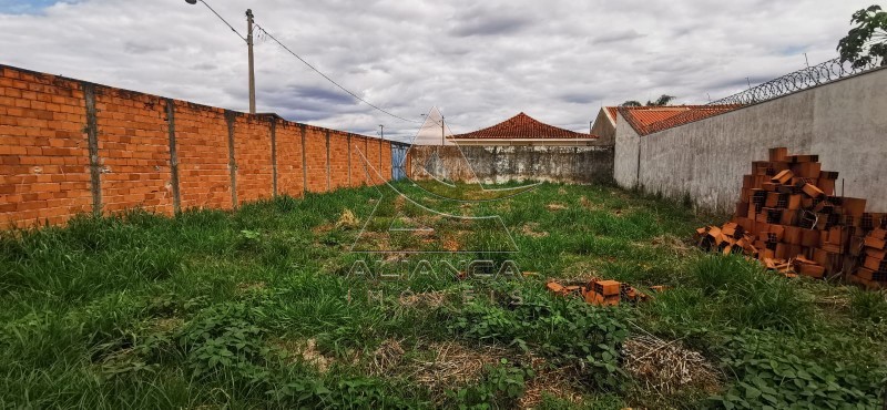 Aliança Imóveis - Imobiliária em Ribeirão Preto - SP - Terreno - Cidade Universitária - Ribeirão Preto