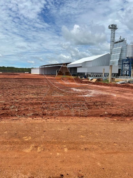 Aliança Imóveis - Imobiliária em Ribeirão Preto - SP - Fazenda  - João Pinheiro - João Pinheiro