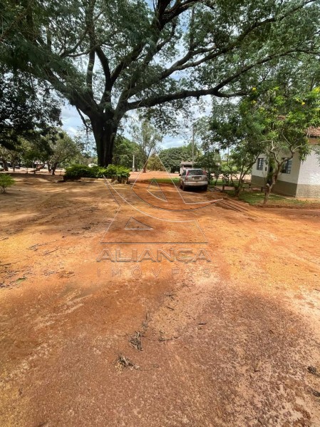 Aliança Imóveis - Imobiliária em Ribeirão Preto - SP - Fazenda  - João Pinheiro - João Pinheiro