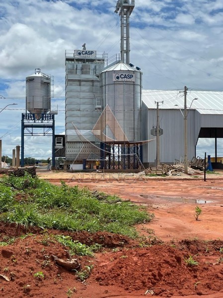 Aliança Imóveis - Imobiliária em Ribeirão Preto - SP - Fazenda  - João Pinheiro - João Pinheiro