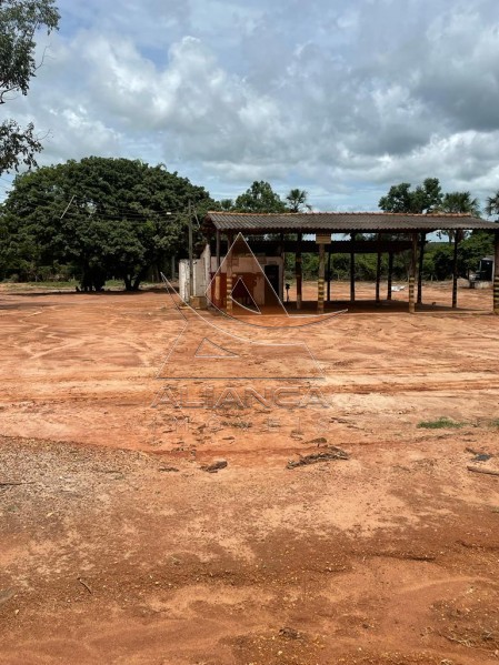 Aliança Imóveis - Imobiliária em Ribeirão Preto - SP - Fazenda  - João Pinheiro - João Pinheiro