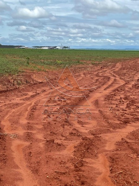 Aliança Imóveis - Imobiliária em Ribeirão Preto - SP - Fazenda  - João Pinheiro - João Pinheiro