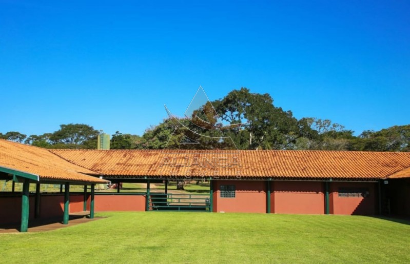 Aliança Imóveis - Imobiliária em Ribeirão Preto - SP - Fazenda  - João Pinheiro - João Pinheiro