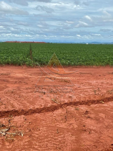 Aliança Imóveis - Imobiliária em Ribeirão Preto - SP - Fazenda  - João Pinheiro - João Pinheiro