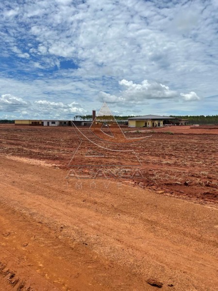 Aliança Imóveis - Imobiliária em Ribeirão Preto - SP - Fazenda  - João Pinheiro - João Pinheiro