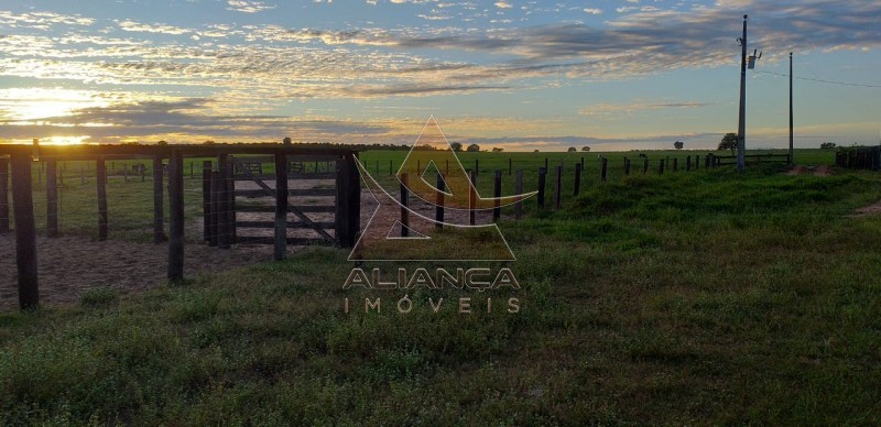 Aliança Imóveis - Imobiliária em Ribeirão Preto - SP - Fazenda  - Guaraí  - Guaraí