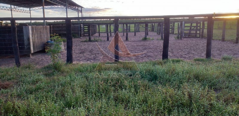 Fazenda à venda com 6 quartos, 95287500m² - Foto 7