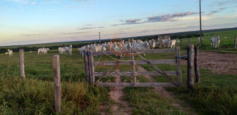 Fazenda à venda com 6 quartos, 95287500m² - Foto 6