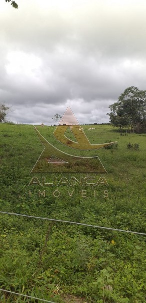 Aliança Imóveis - Imobiliária em Ribeirão Preto - SP - Fazenda  - Guaraí  - Guaraí