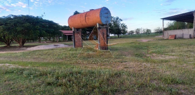 Aliança Imóveis - Imobiliária em Ribeirão Preto - SP - Fazenda  - Guaraí  - Guaraí