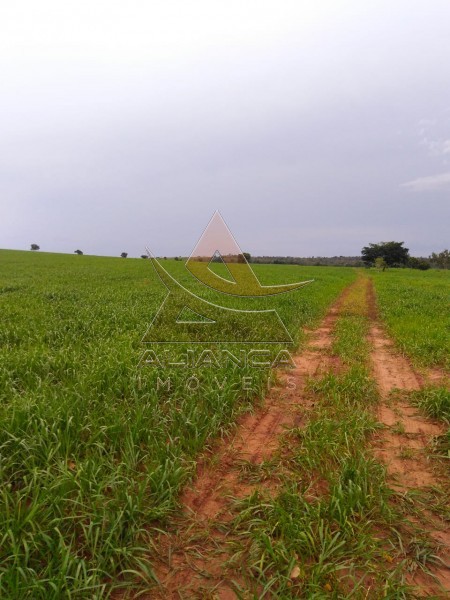 Aliança Imóveis - Imobiliária em Ribeirão Preto - SP - Fazenda  - Guaraí  - Guaraí