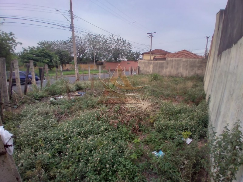 Aliança Imóveis - Imobiliária em Ribeirão Preto - SP - Terreno - Parque Residencial Emir Garcia - Ribeirão Preto