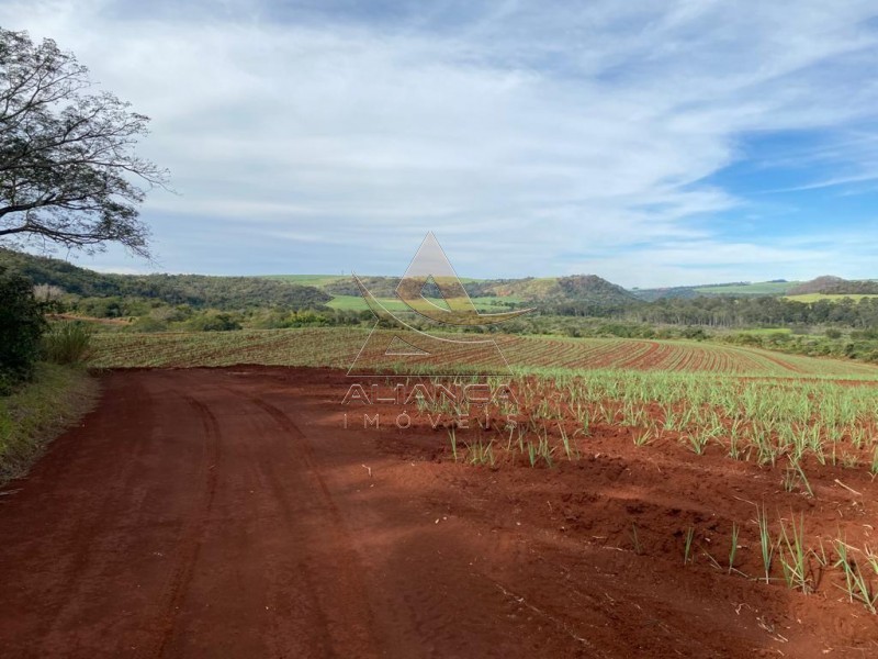 Aliança Imóveis - Imobiliária em Ribeirão Preto - SP - Fazenda  - Parque Industrial Antonio Guar - Ibaté