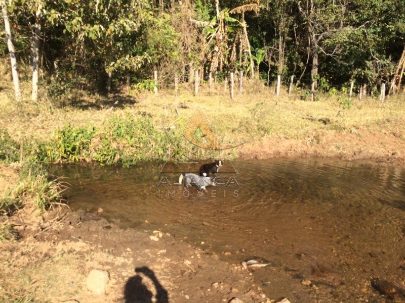 Aliança Imóveis - Imobiliária em Ribeirão Preto - SP - Fazenda  - Tapiratiba  - Tapiratiba 