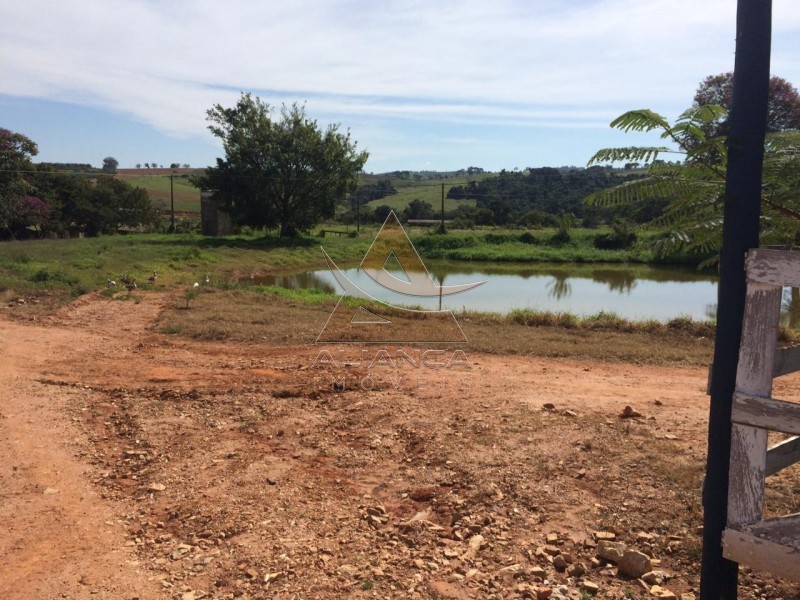 Aliança Imóveis - Imobiliária em Ribeirão Preto - SP - Fazenda  - Tapiratiba  - Tapiratiba 