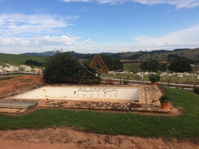 Aliança Imóveis - Imobiliária em Ribeirão Preto - SP - Fazenda  - Tapiratiba  - Tapiratiba 