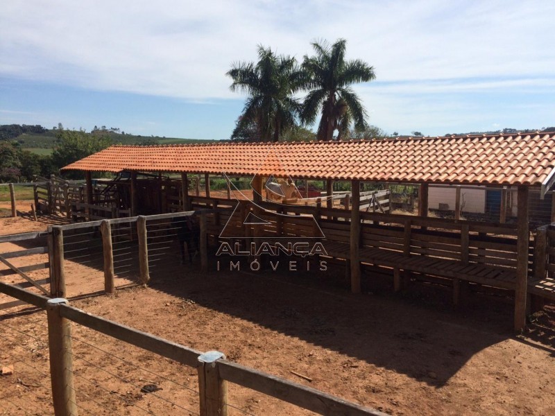 Aliança Imóveis - Imobiliária em Ribeirão Preto - SP - Fazenda  - Tapiratiba  - Tapiratiba 