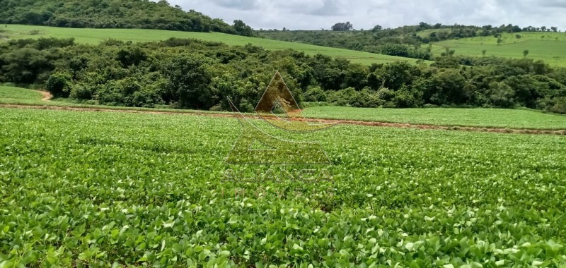 Aliança Imóveis - Imobiliária em Ribeirão Preto - SP - Fazenda  - Itamogi - Itamogi