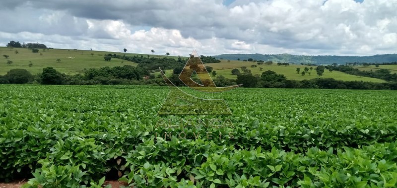 Fazenda à venda com 1 quarto, 2662726m² - Foto 6