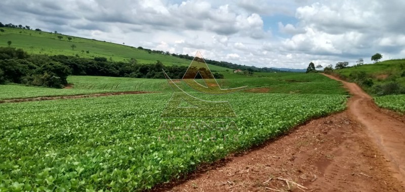 Aliança Imóveis - Imobiliária em Ribeirão Preto - SP - Fazenda  - Itamogi - Itamogi