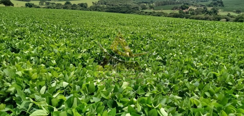 Fazenda à venda com 1 quarto, 2662726m² - Foto 8