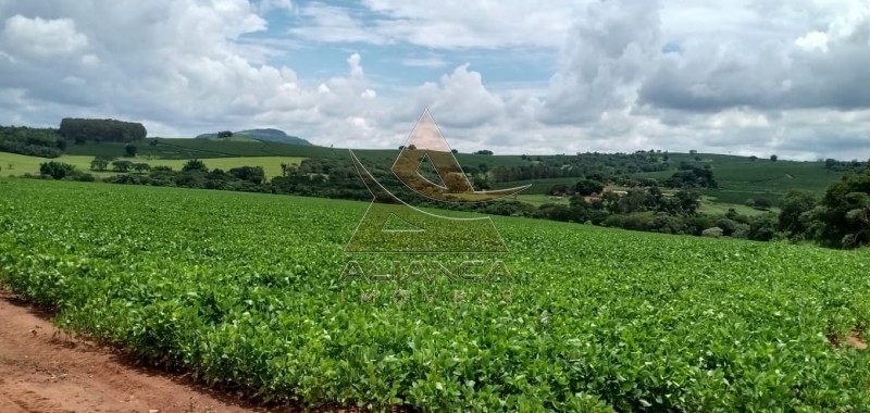 Aliança Imóveis - Imobiliária em Ribeirão Preto - SP - Fazenda  - Itamogi - Itamogi