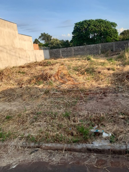 Aliança Imóveis - Imobiliária em Ribeirão Preto - SP - Terreno Condomínio - Villas Mabel - Ribeirão Preto