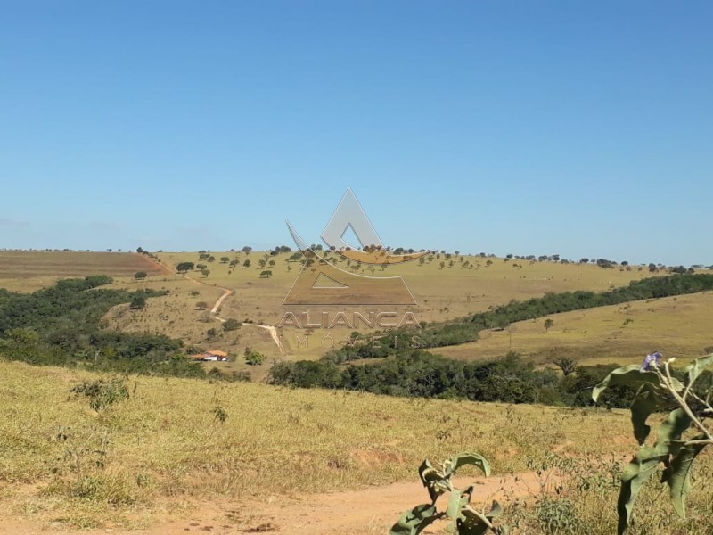 Aliança Imóveis - Imobiliária em Ribeirão Preto - SP - Fazenda  - Escarpas do Lago - Capitólio