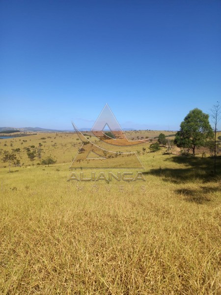 Aliança Imóveis - Imobiliária em Ribeirão Preto - SP - Fazenda  - Escarpas do Lago - Capitólio