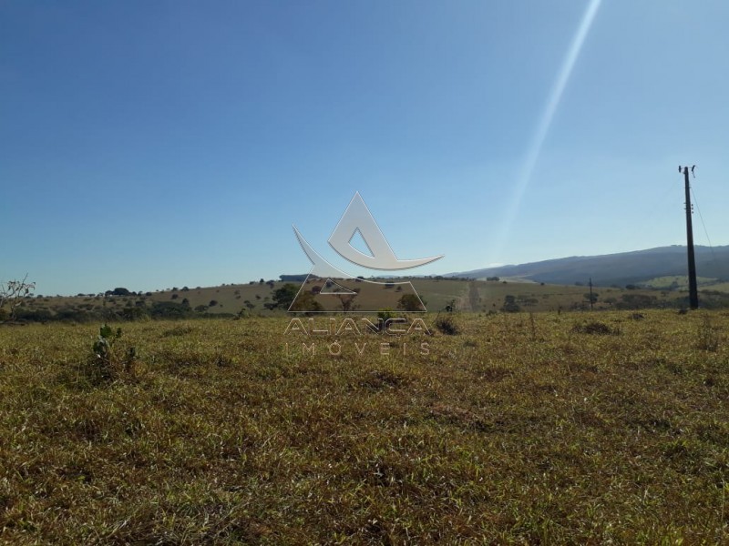 Aliança Imóveis - Imobiliária em Ribeirão Preto - SP - Fazenda  - Escarpas do Lago - Capitólio