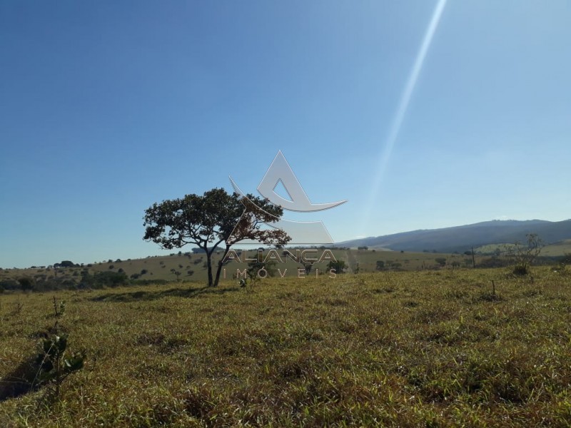 Aliança Imóveis - Imobiliária em Ribeirão Preto - SP - Fazenda  - Escarpas do Lago - Capitólio