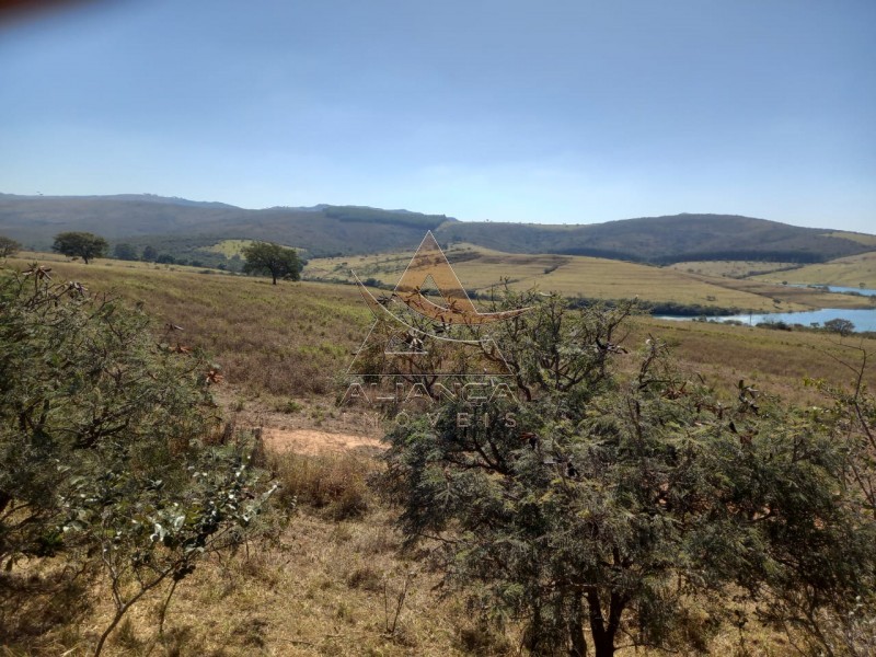 Aliança Imóveis - Imobiliária em Ribeirão Preto - SP - Fazenda  - Escarpas do Lago - Capitólio