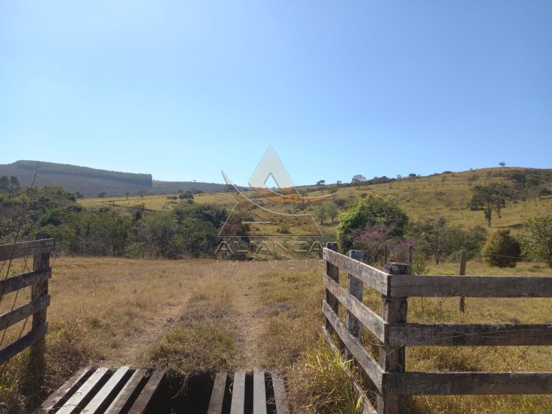 Aliança Imóveis - Imobiliária em Ribeirão Preto - SP - Fazenda  - Escarpas do Lago - Capitólio