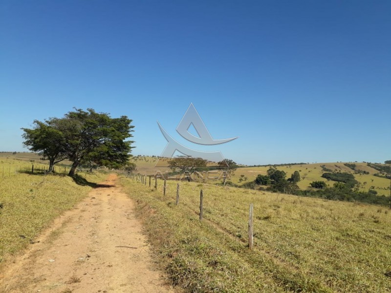 Aliança Imóveis - Imobiliária em Ribeirão Preto - SP - Fazenda  - Escarpas do Lago - Capitólio