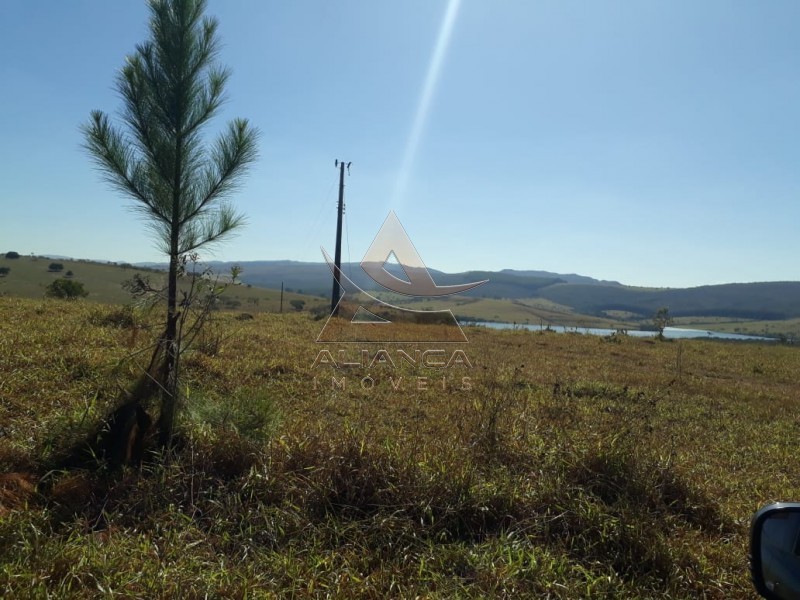 Aliança Imóveis - Imobiliária em Ribeirão Preto - SP - Fazenda  - Escarpas do Lago - Capitólio