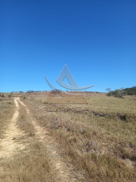 Aliança Imóveis - Imobiliária em Ribeirão Preto - SP - Fazenda  - Escarpas do Lago - Capitólio