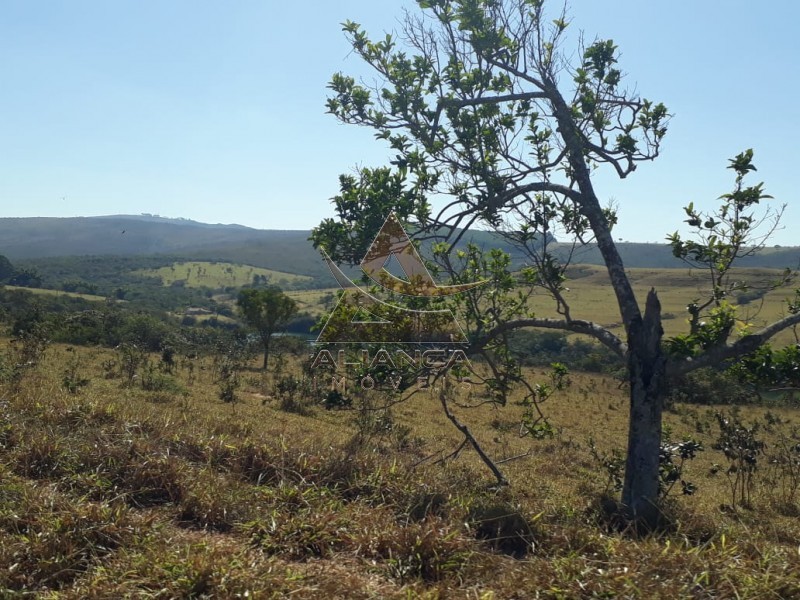 Aliança Imóveis - Imobiliária em Ribeirão Preto - SP - Fazenda  - Escarpas do Lago - Capitólio