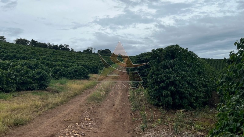 Aliança Imóveis - Imobiliária em Ribeirão Preto - SP - Fazenda  - Zona Rural - Oliveira