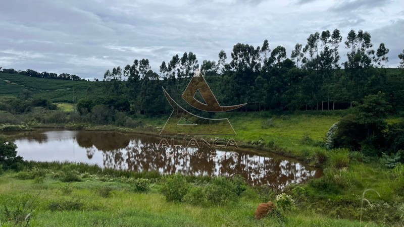 Aliança Imóveis - Imobiliária em Ribeirão Preto - SP - Fazenda  - Zona Rural - Oliveira