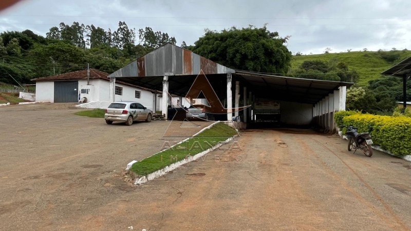 Aliança Imóveis - Imobiliária em Ribeirão Preto - SP - Fazenda  - Zona Rural - Oliveira